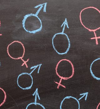 female and male gender symbol on a chalk Board. Background